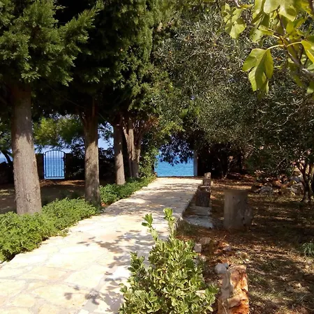 Branko * Sutomišćica