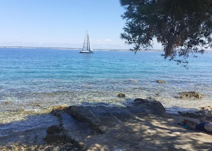 Branko * Sutomiscica