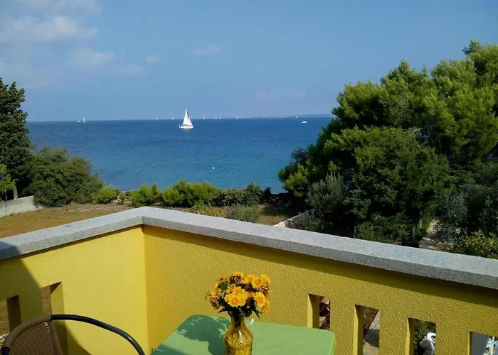 Branko * Sutomiscica