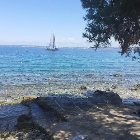 Branko * Sutomiscica