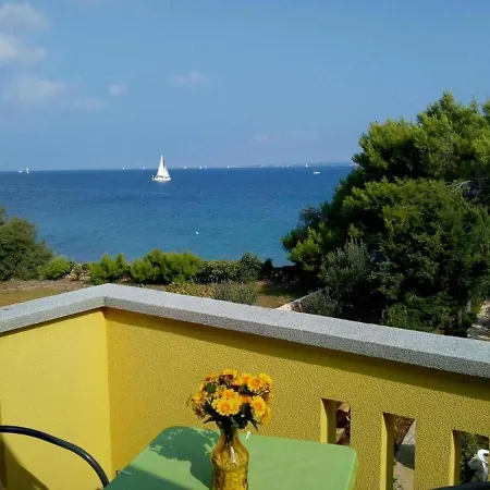 Branko * Sutomiscica