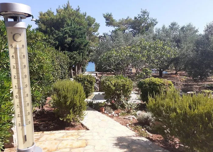 Branko Апартаменты