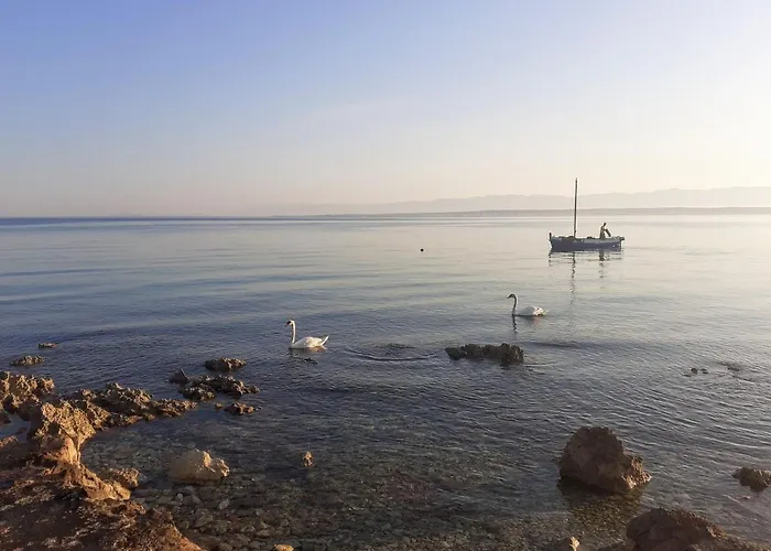 Branko Апартаменты *