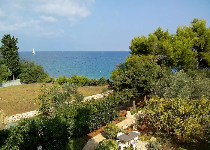 Апартаменты Branko