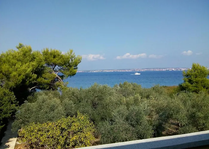 Апартаменты Branko *