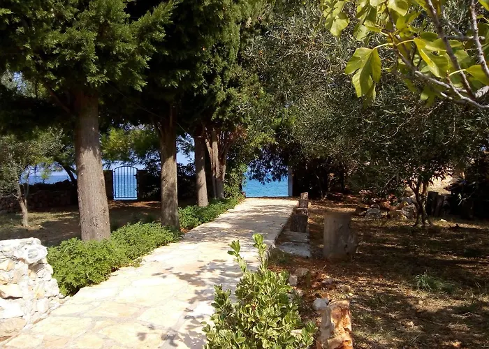 Branko * Sutomiscica