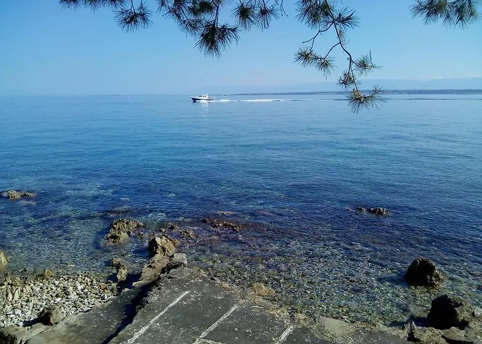 Branko Апартаменты *